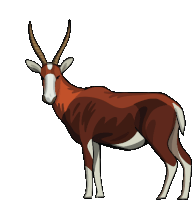 Gif animé antilope marron blanche
